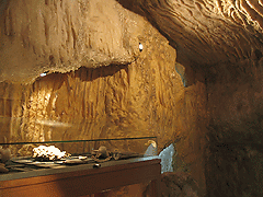 Geologisch-Paläontologisches Museum Münster, Höhle