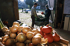 Ökologiehof Wennerstorf