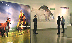 Sonderausstellung 