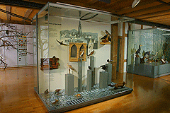 Naturkundemuseum Reutlingen, D711 WM DA-2OG 1a Vitrine Lebensraum Stadt