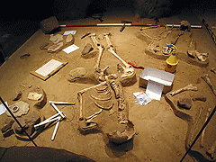 Westfälisches Museum für Archäologie, Grabungslandschaft